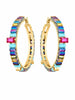 Nicole Hoops