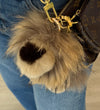 Tan Little Fur Leo