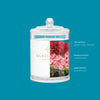 Midnight in Milan Candle 2.1oz