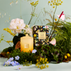 Flower Show Candle 13.4oz