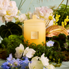 Flower Show Candle 13.4oz