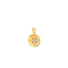 Disc Star Charm