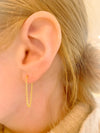Anita Chain Earrings