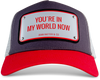 You're In My World Now